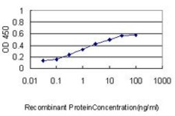 Monoclonal Anti-NPC1 antibody produced in mouse clone 4H2, purified immunoglobulin, buffered aqueous solution