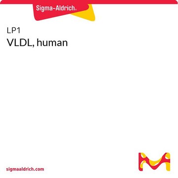 VLDL，人