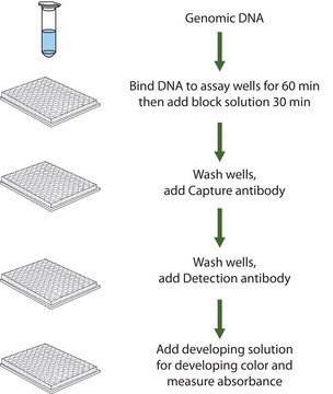 Imprint&#174; 甲基化 DNA 定量试剂盒 To measure global DNA methylation shifts from as low as 10 ng DNA