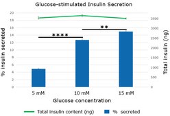 MIN6 Mouse Insulinoma Cell Line