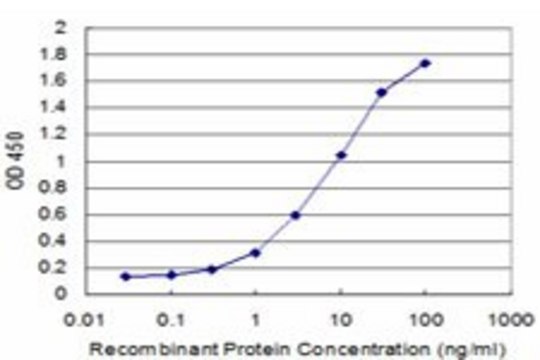 Monoclonal Anti-COPB antibody produced in mouse clone 3E10, purified immunoglobulin, buffered aqueous solution