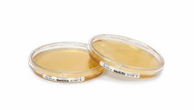 Tryptic Soy Agar - Ready-to-use Settle Plates Penase, Tween, Thiosulfate, Histidine, Lecithin, ICR plus with lockable lid, plate volume × diam. 30&#160;mL × 90&#160;mm, sterile; &#947;-irradiated, pkg of 10&#160;plates Triple packed, suitable for air monitoring