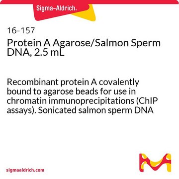 蛋白质A琼脂糖/鲑鱼精子DNA,2.5 mL for use in chromatin immunoprecipitations (ChIP assays)