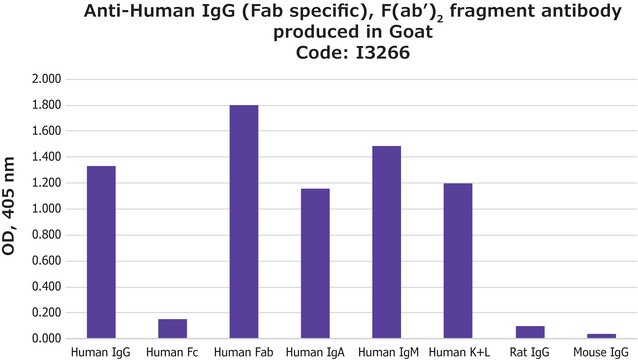 抗 人 IgG（Fab 特异性）、F（ab&#8242; 2 片段 山羊抗 affinity isolated antibody, buffered aqueous solution