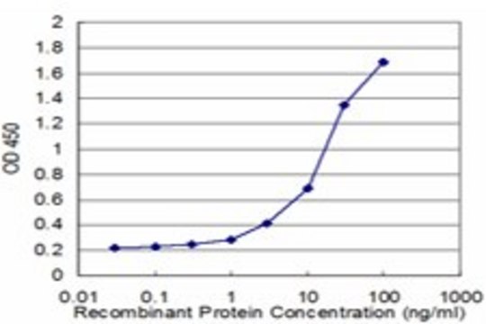 Monoclonal Anti-UBE2E3 antibody produced in mouse clone 4C4, purified immunoglobulin, buffered aqueous solution