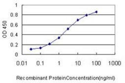 Monoclonal Anti-HAMP, (C-terminal) antibody produced in mouse clone 1F9, purified immunoglobulin, buffered aqueous solution