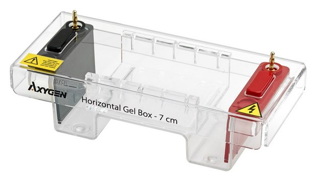 Corning&#174; Axygen&#174; Horizontal Gel Box