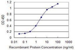 Monoclonal Anti-TFEC, (N-terminal) antibody produced in mouse clone 4F11, purified immunoglobulin, buffered aqueous solution