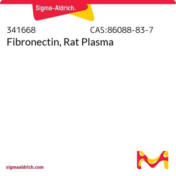 Fibronectin, Rat Plasma