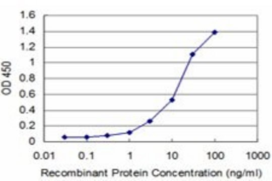 Monoclonal Anti-FBXL8 antibody produced in mouse clone 2E1, purified immunoglobulin, buffered aqueous solution