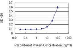 Monoclonal Anti-WNT5A antibody produced in mouse clone 3A4, purified immunoglobulin, buffered aqueous solution