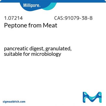 Peptone from Meat pancreatic digest, granulated, suitable for microbiology