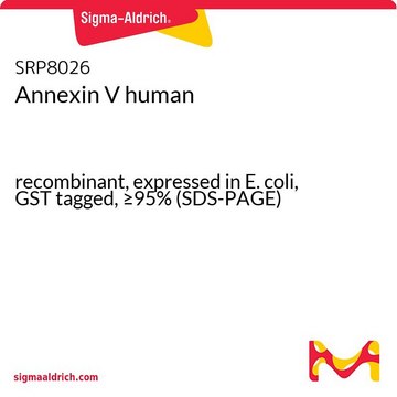 Annexin V human recombinant, expressed in E. coli, GST tagged, &#8805;95% (SDS-PAGE)