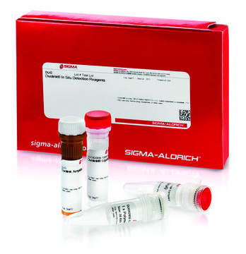 Duolink&#174; In Situ Detection Reagents Orange