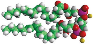 Dilyso Heart CA Avanti Research™ - A Croda Brand 850082P, powder