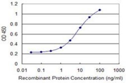 Monoclonal Anti-ZNF266 antibody produced in mouse clone 1B9, purified immunoglobulin, buffered aqueous solution
