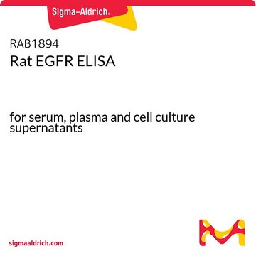 大鼠EGFR ELISA for serum, plasma and cell culture supernatants