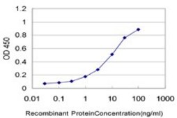 Monoclonal Anti-GATAD2B antibody produced in mouse clone 4G10, purified immunoglobulin, buffered aqueous solution