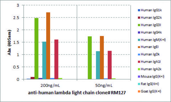 Anti-Human Lambda Light Chain-Biotin antibody, Rabbit monoclonal recombinant, expressed in HEK 293 cells, clone RM127, purified immunoglobulin