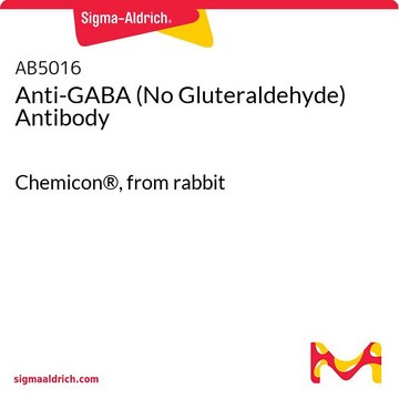 Anti-GABA (No Gluteraldehyde) Antibody Chemicon&#174;, from rabbit