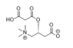 Malonyl-L-carnitine Avanti Research™ - A Croda Brand
