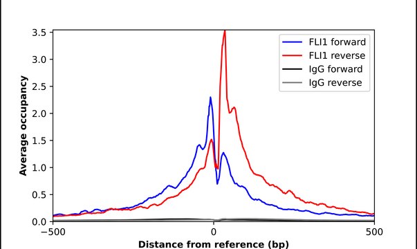 Anti-FLI1 antibody produced in rabbit Prestige Antibodies&#174; Powered by Atlas Antibodies, affinity isolated antibody