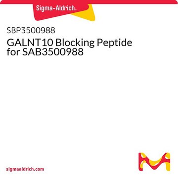 GALNT10 Blocking Peptide for SAB3500988