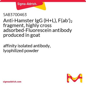 Anti-Hamster IgG (H+L), F(ab&#8242;)2 fragment, highly cross adsorbed-Fluorescein antibody produced in goat affinity isolated antibody, lyophilized powder