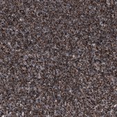 Anti-TSPO antibody produced in mouse Prestige Antibodies® Powered by Atlas Antibodies, clone CL13358, purified by using Protein A, buffered aqueous glycerol solution