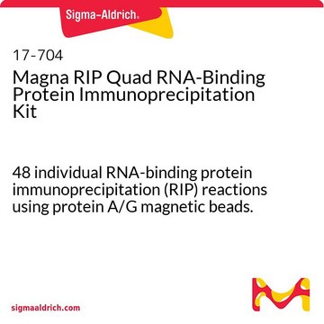 Magna RIP Quad RNA结合蛋白质免疫沉淀试剂盒 48 individual RNA-binding protein immunoprecipitation (RIP) reactions using protein A/G magnetic beads.