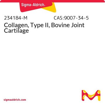 Collagen, Type II, Bovine Joint Cartilage