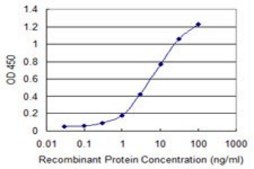 Monoclonal Anti-DPYSL5 antibody produced in mouse clone 2G4, purified immunoglobulin, buffered aqueous solution