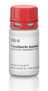 Transferrin human Optiferrin&#8482;, recombinant, expressed in rice