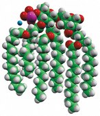 3D-(6-acyl) PHAD™ Avanti Research™ - A Croda Brand