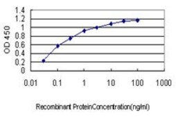 Monoclonal Anti-GPR84 antibody produced in mouse clone 5B7, purified immunoglobulin, buffered aqueous solution