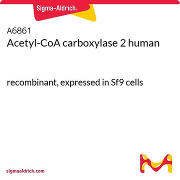 Acetyl-CoA carboxylase 2 human recombinant, expressed in Sf9 cells