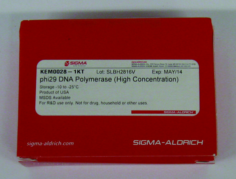 &#966;29 DNA Polymerase (High Concentration) Ultra-pure enzyme for nucleic acid modifications