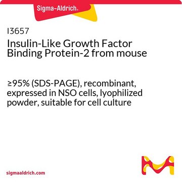 Insulin-Like Growth Factor Binding Protein-2 from mouse &#8805;95% (SDS-PAGE), recombinant, expressed in NSO cells, lyophilized powder, suitable for cell culture