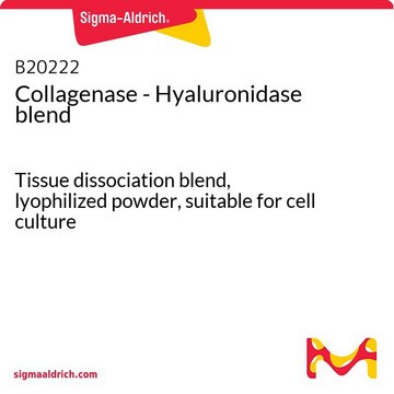 Collagenase - Hyaluronidase blend Tissue dissociation blend, lyophilized powder, suitable for cell culture