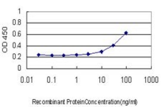 Monoclonal Anti-PDK1 antibody produced in mouse clone 3E1, purified immunoglobulin, buffered aqueous solution