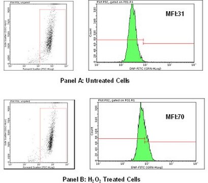 FlowCellect Oxidative Stress Characterization Kit Oxidative stress has been found to play a key role in a number of pathological disorders.