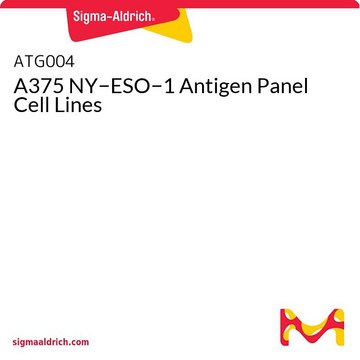 A375 NY&#8722;ESO&#8722;1 Antigen Panel Cell Lines