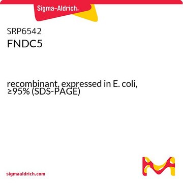 FNDC5 recombinant, expressed in E. coli, &#8805;95% (SDS-PAGE)