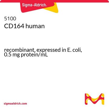 CD164 human recombinant, expressed in E. coli, 0.5&#160;mg protein/mL