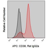 Anti-Mouse CD38 (90) ColorWheel® Dye-Ready mAb for use with ColorWheel® Dyes (Required, sold separately)