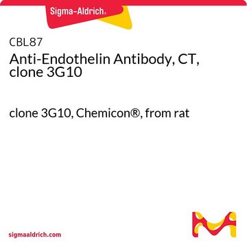 Anti-Endothelin Antibody, CT, clone 3G10 clone 3G10, Chemicon&#174;, from rat