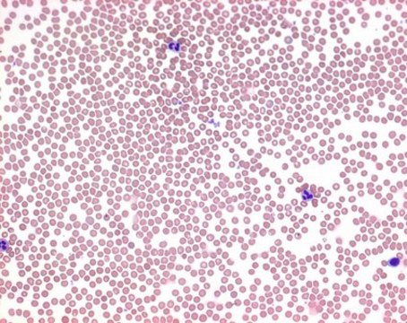 Wright&#8242;s eosine methylene blue for microscopy