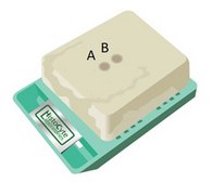 ALK-Lung Analyte Control Cell line controls for immunohistochemistry and in situ hybridization
