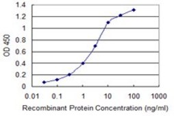 Monoclonal Anti-KIT antibody produced in mouse clone 6F2, purified immunoglobulin, buffered aqueous solution