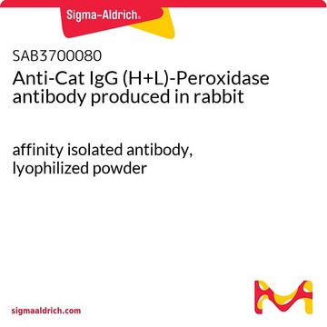 Anti-Cat IgG (H+L)-Peroxidase antibody produced in rabbit affinity isolated antibody, lyophilized powder